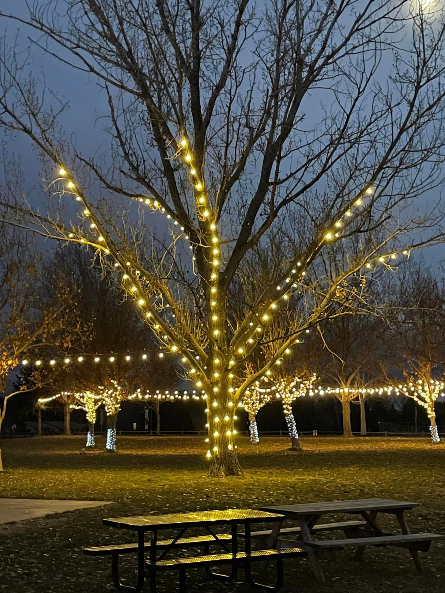 Holiday lighting installation 10 in the Prescott, AZ area