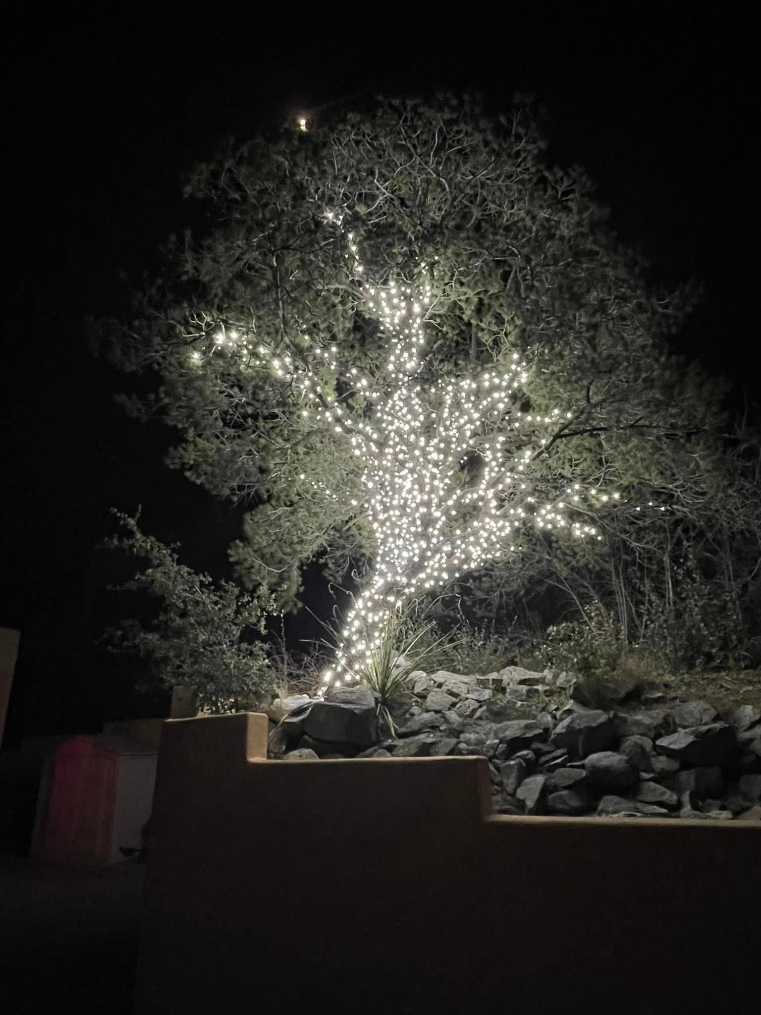 Holiday lighting installation 20 in the Prescott, AZ area